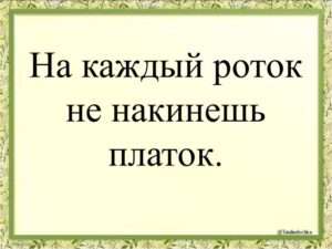 На каждый роток не накинешь платок: Что означает эта поговорка?