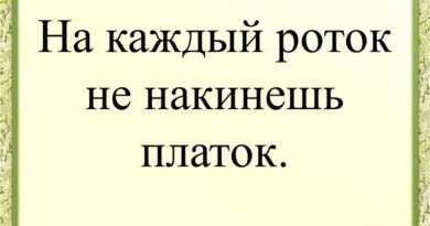 На каждый роток не накинешь платок: Что означает эта поговорка?. Смотреть фото На каждый роток не накинешь платок: Что означает эта поговорка?. Смотреть картинку На каждый роток не накинешь платок: Что означает эта поговорка?. Картинка про На каждый роток не накинешь платок: Что означает эта поговорка?. Фото На каждый роток не накинешь платок: Что означает эта поговорка?