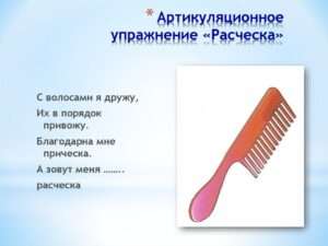 Значение поговорки 'Расчёска – визитная карточка неряхи'