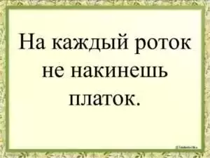 На каждый роток не накинешь платок: Что означает эта поговорка?
